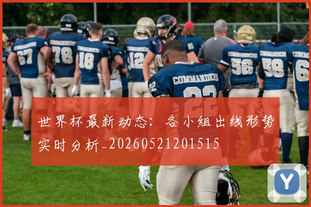 世界杯最新动态：各小组出线形势实时分析_20260521201515